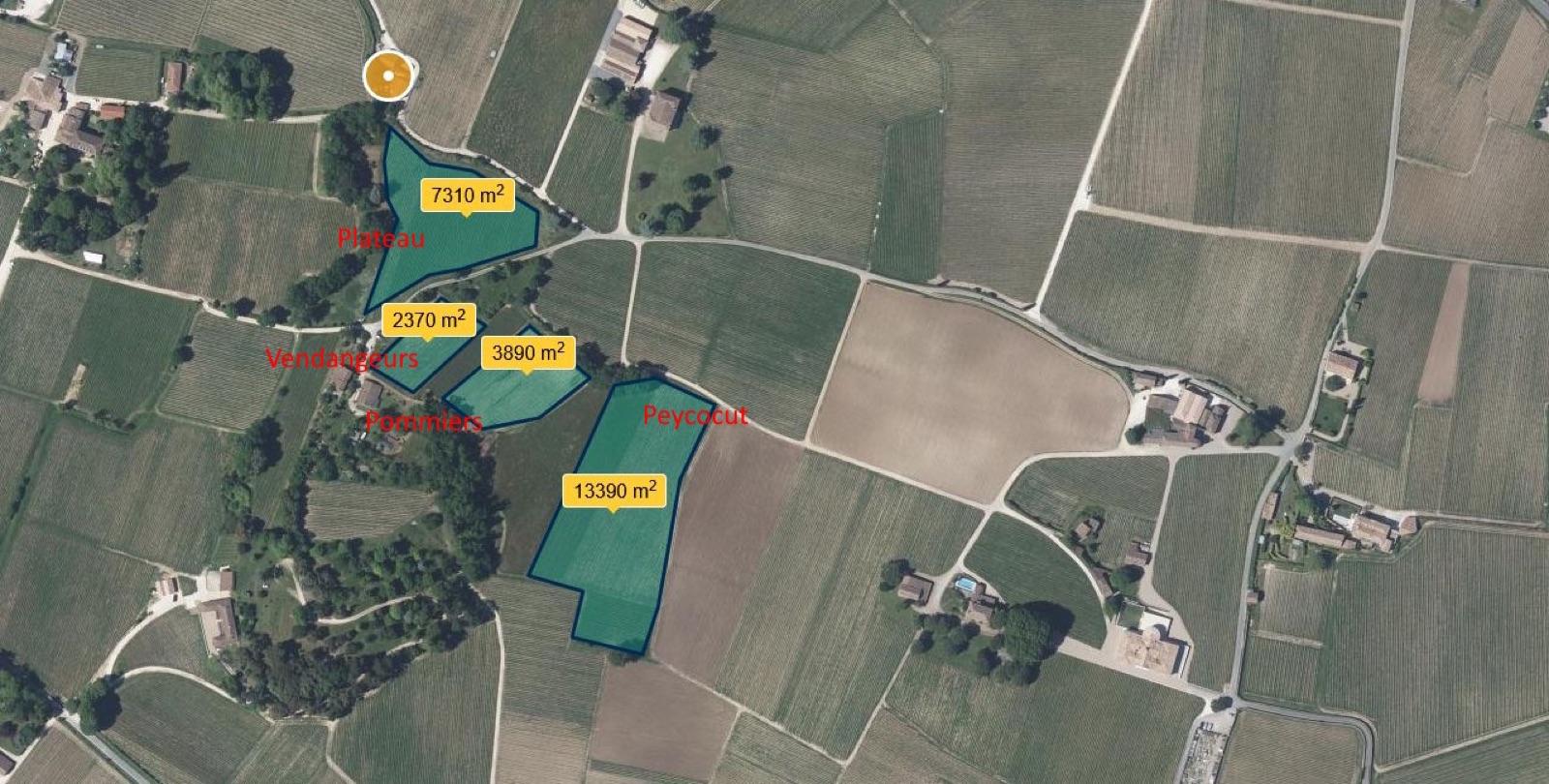 Map of the Peycocut parcels of the Les Demoiselles cuvée